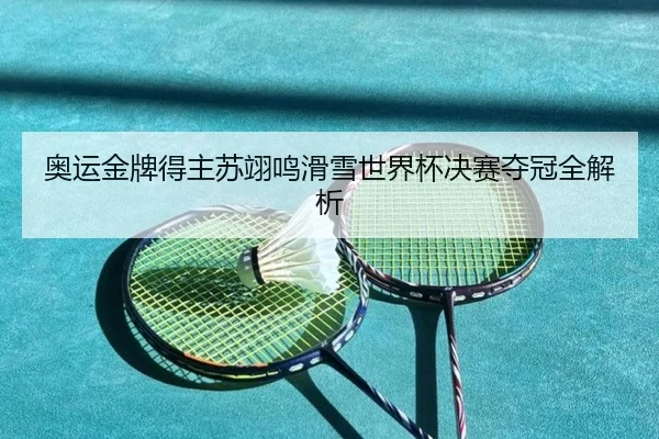 奥运金牌得主苏翊鸣滑雪世界杯决赛夺冠全解析